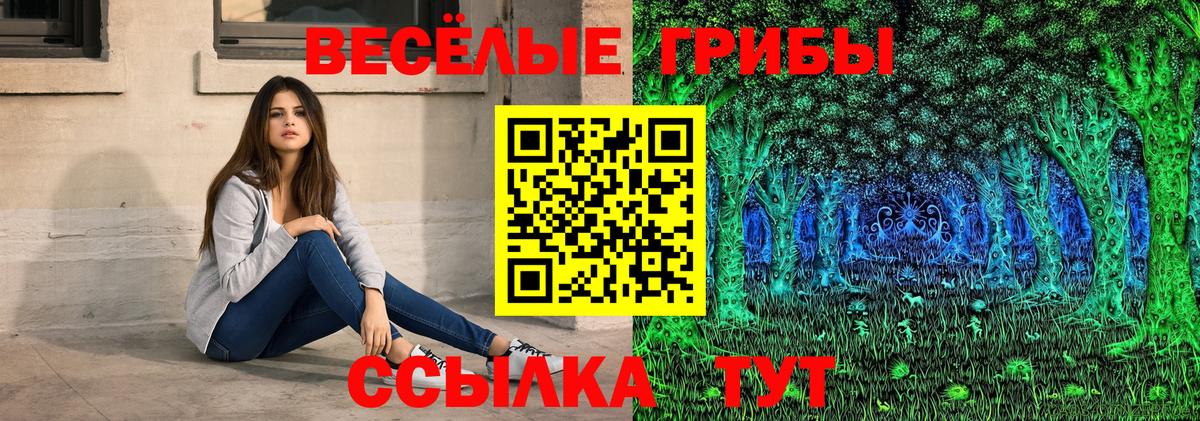 Казань  Псилоцибиновые грибы мицелий  закладка  Вход с VPN 
